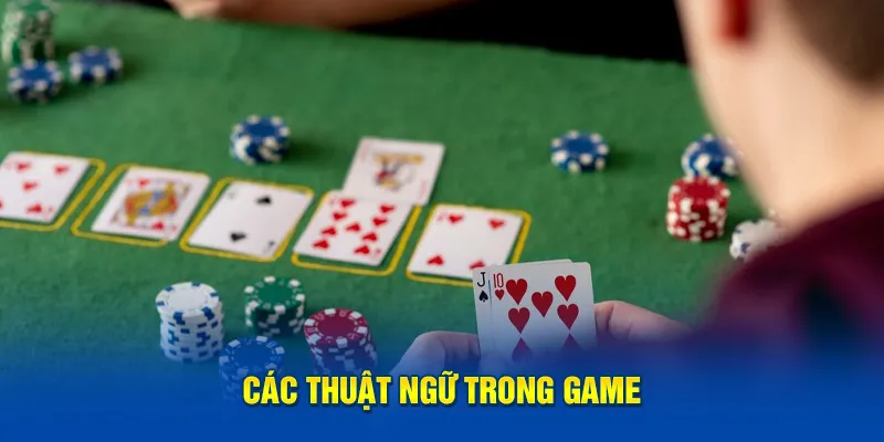 Các Thuật Ngữ Quan Trọng